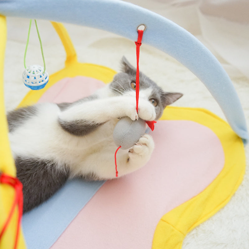 Cat Toy Funny Cat Stick Funny Cat Toy Set Kitty Toy