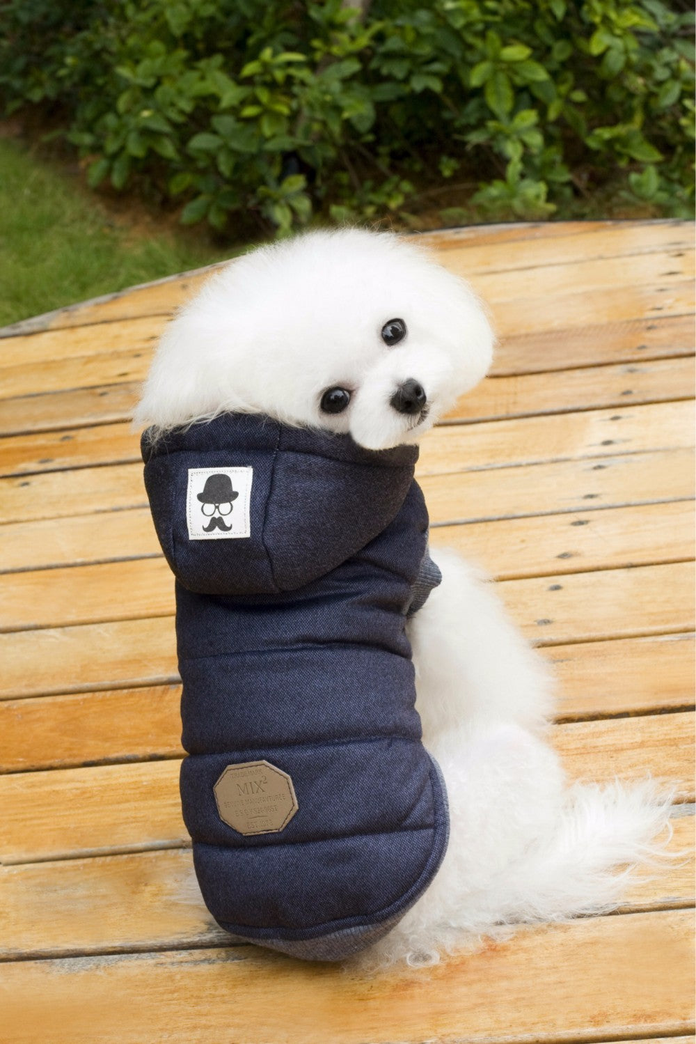 Small Pet Mustache Two-legged Autumn And Winter Coat