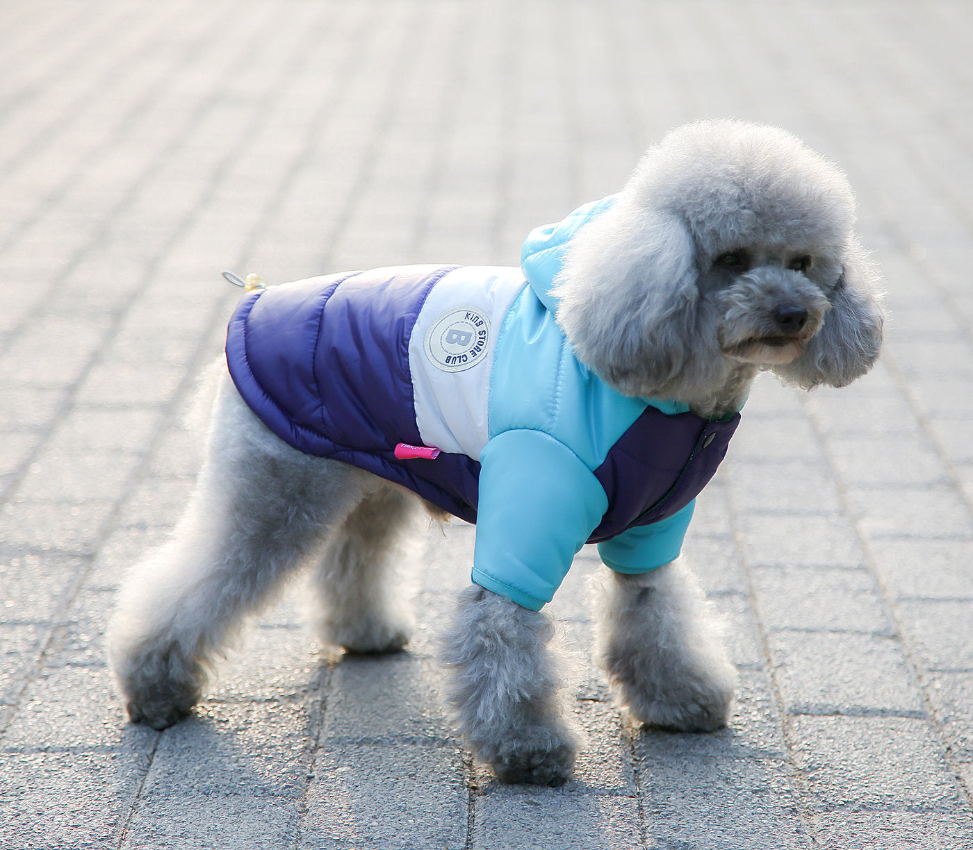 Two-Legged Cotton-Padded Clothes Multi-Color Optional Dog Warm Outdoor Clothes