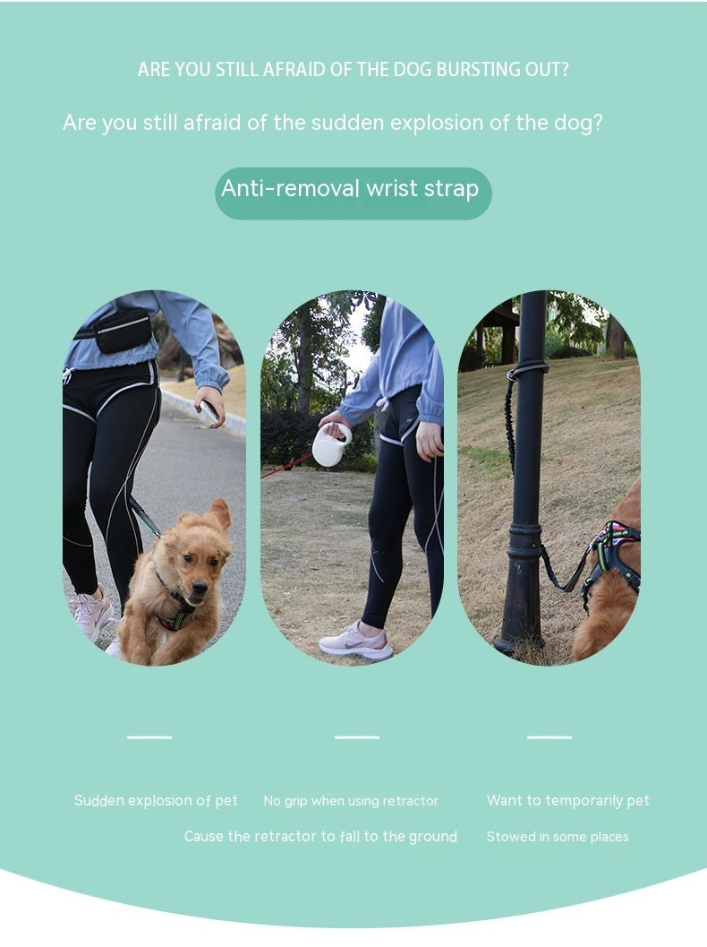 Pet Supplies Wrist Strap