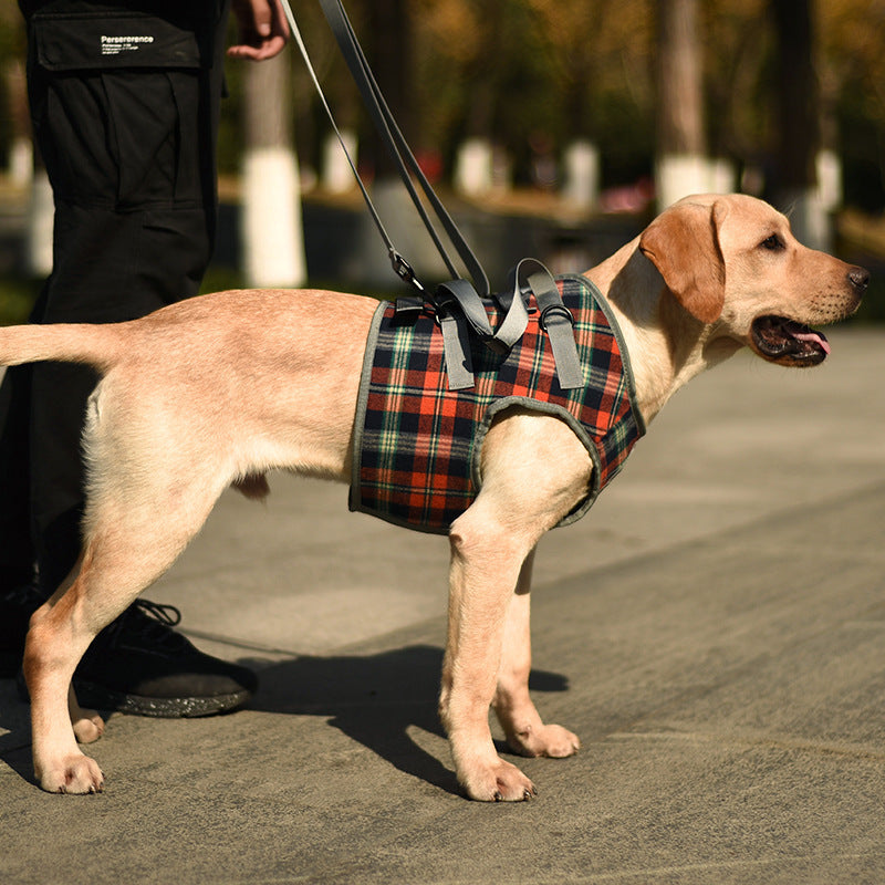 Fashion Personality Aged Dog Assist /Accessory Belt