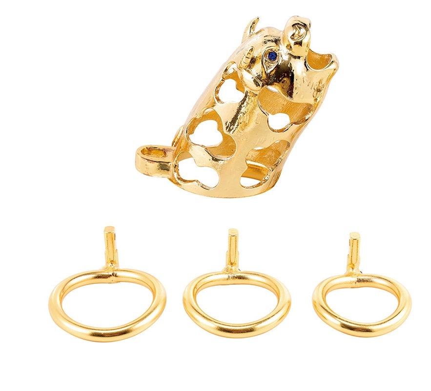 Metal Stainless Steel Male Chastity Device