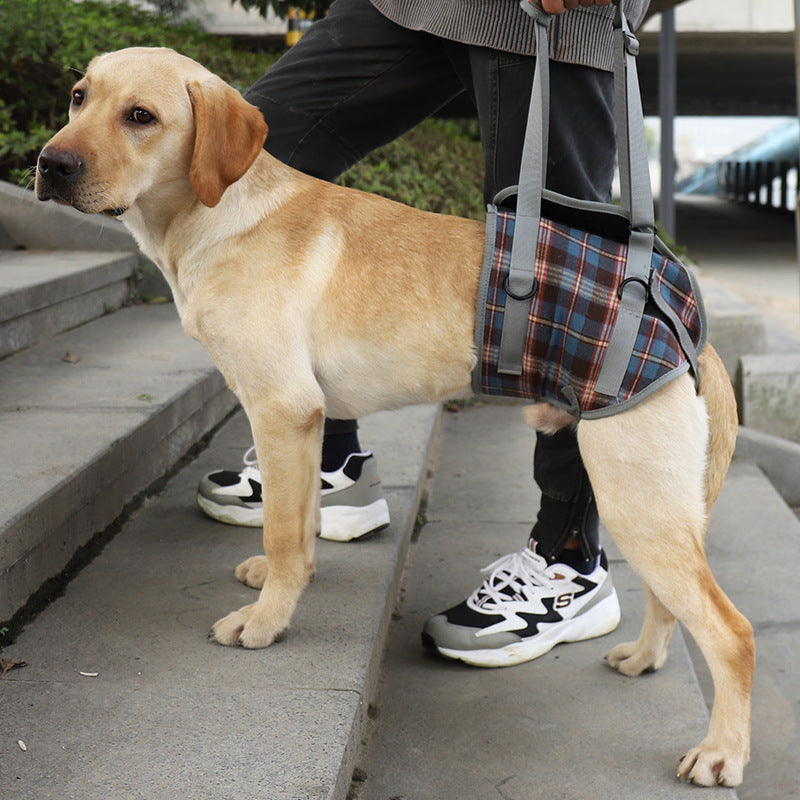 Fashion Personality Aged Dog Assist /Accessory Belt