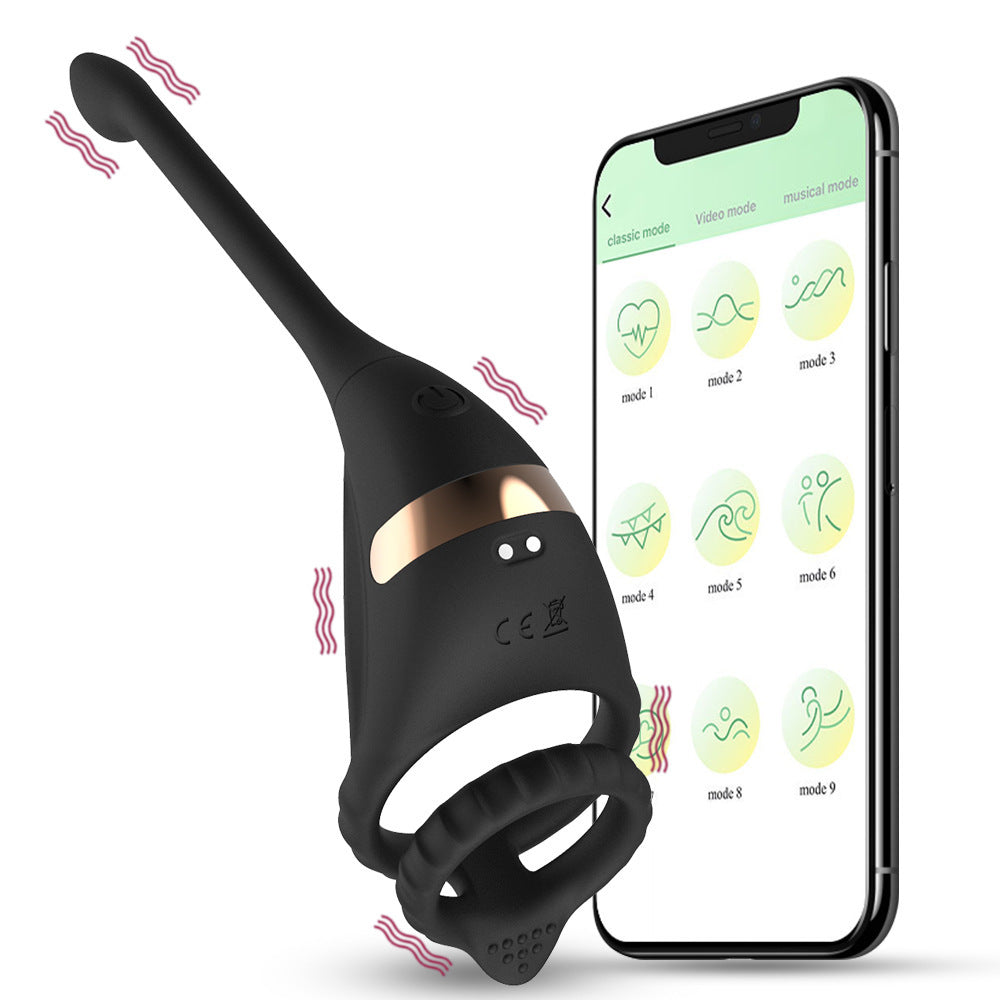 Remote Control Double Ring Silicone Butt Plug