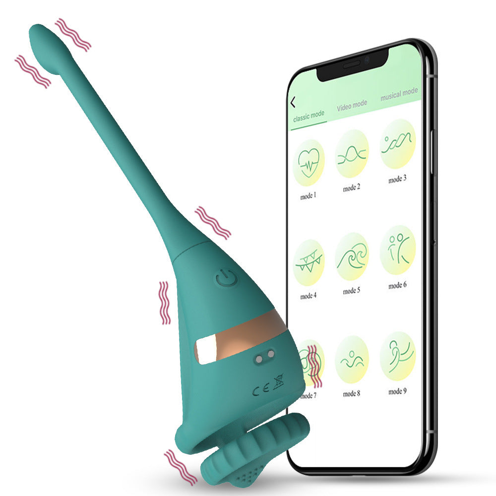 Remote Control Double Ring Silicone Butt Plug