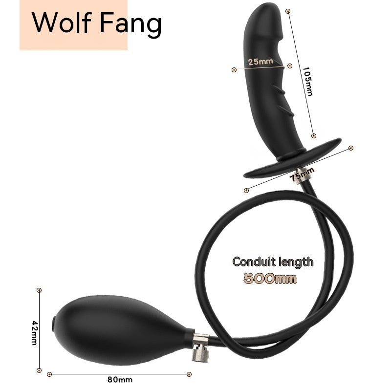Gag Ball Inflation Mouth & Anal Plug