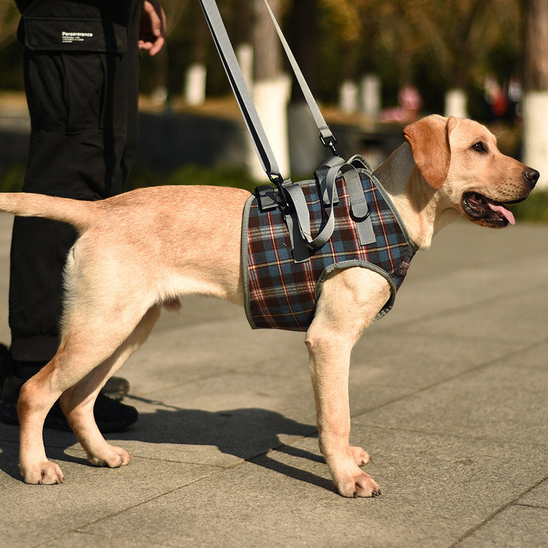 Fashion Personality Aged Dog Assist /Accessory Belt