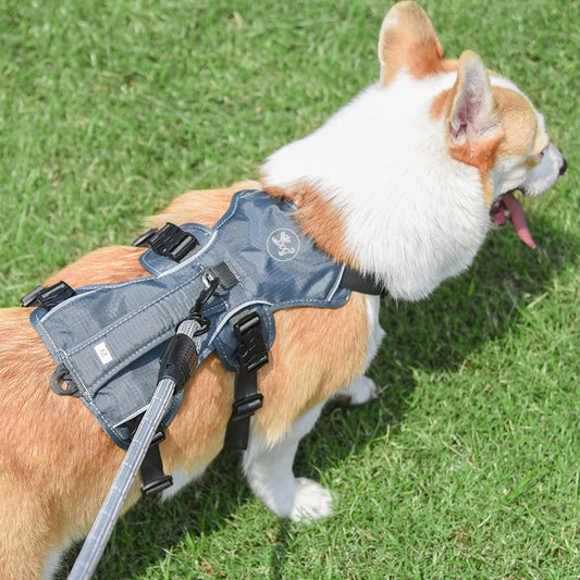 Pet Harness Dog Vest Leash