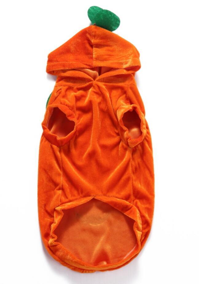 Unique Dog Spider Costume