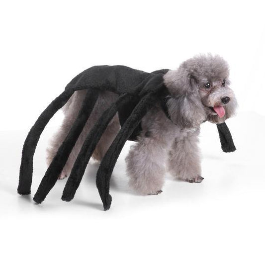 Unique Dog Spider Costume