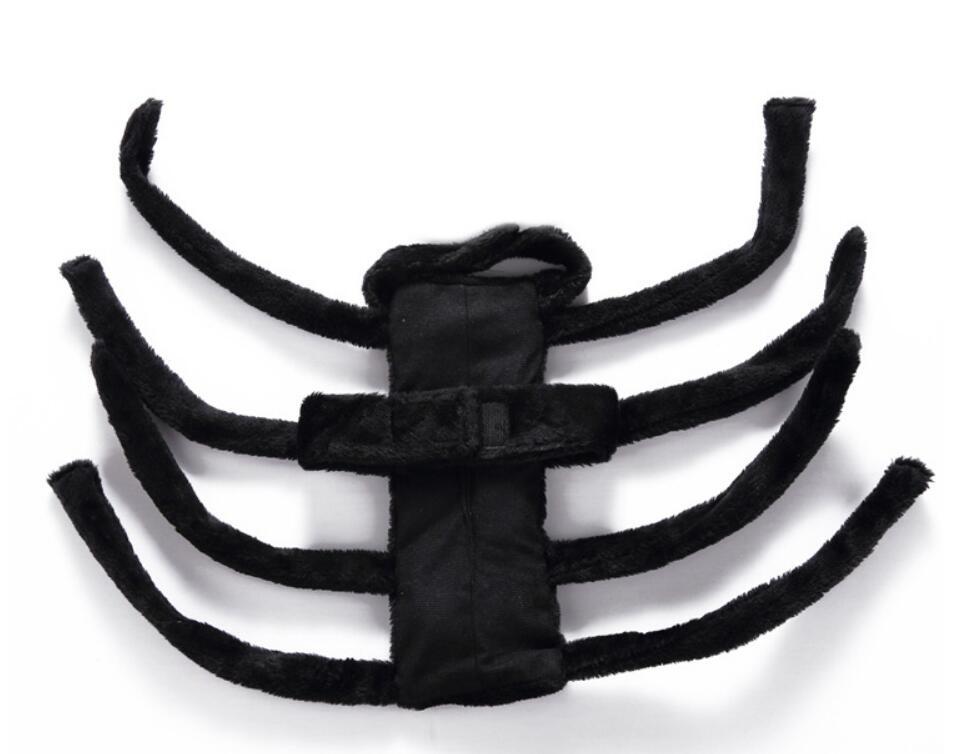 Unique Dog Spider Costume