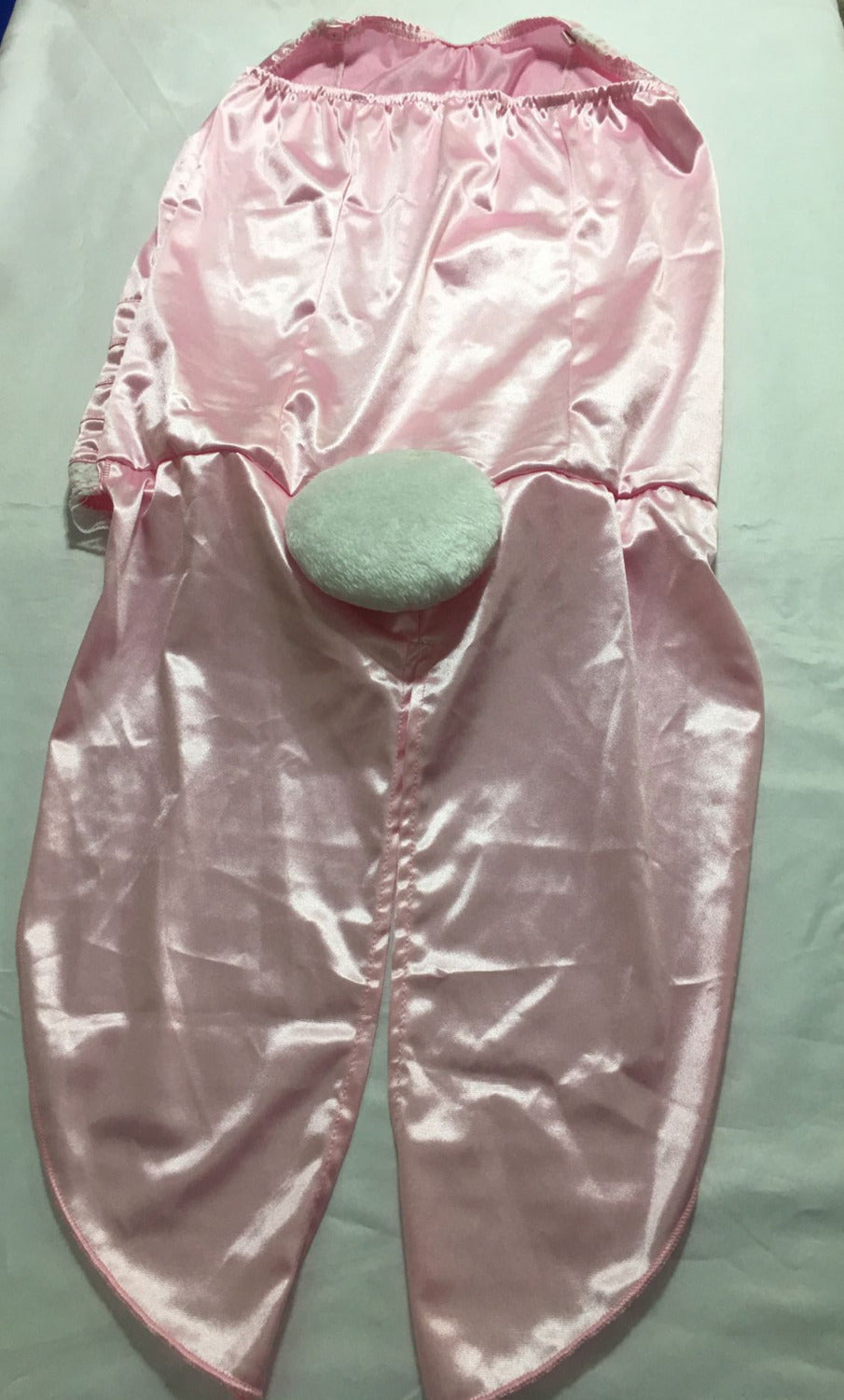 Sexy Bunny Girl Temptation Cosplay