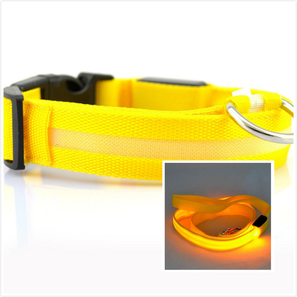 Dog LED luminous collar