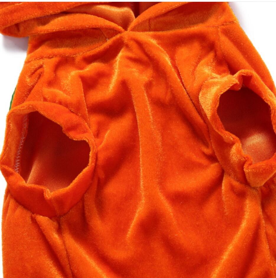 Unique Dog Spider Costume