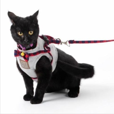 Kitty Cat Harness Vest Leash