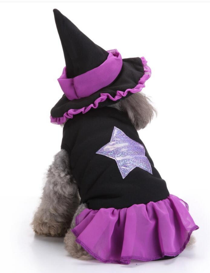 Unique Dog Spider Costume