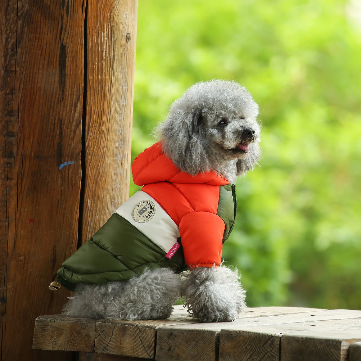 Two-Legged Cotton-Padded Clothes Multi-Color Optional Dog Warm Outdoor Clothes