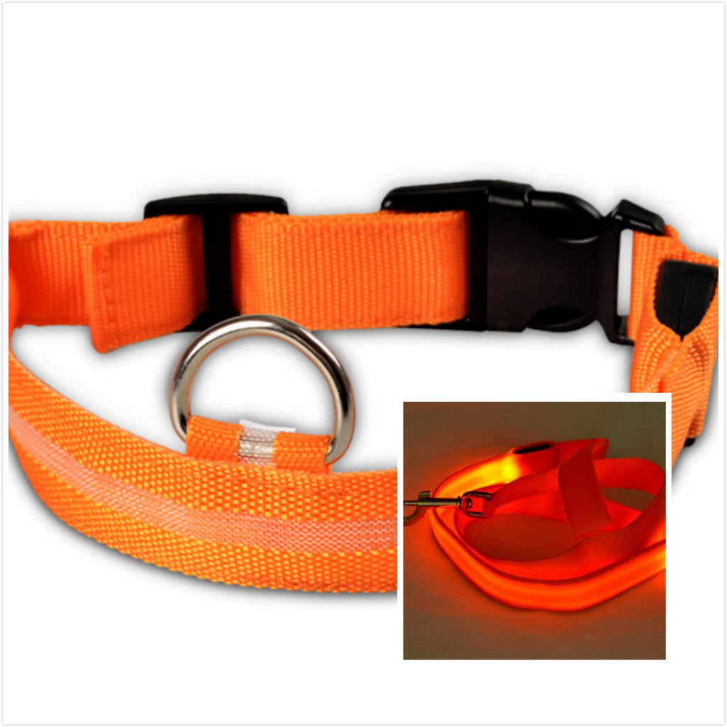Dog LED luminous collar
