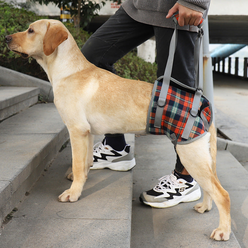 Fashion Personality Aged Dog Assist /Accessory Belt