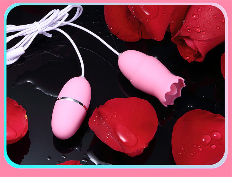 Women's Vibrating Masturbation Egg