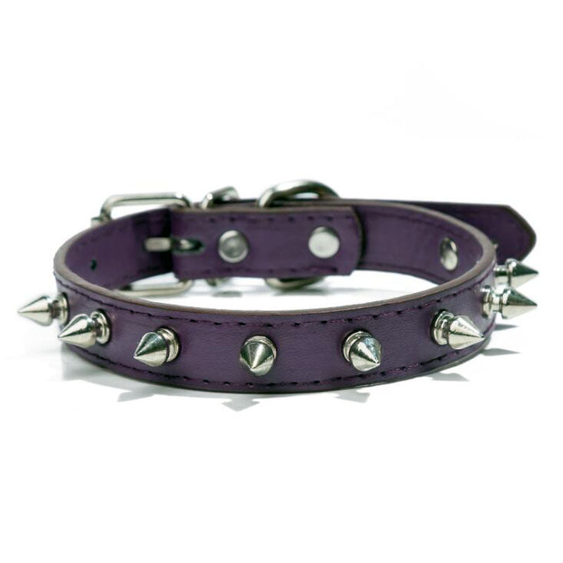 Pet With Multicolor  Pu Leather Dog Collar